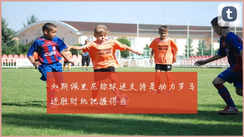 加斯佩里尼称球迷支持是动力罗马连胜时机把握得当